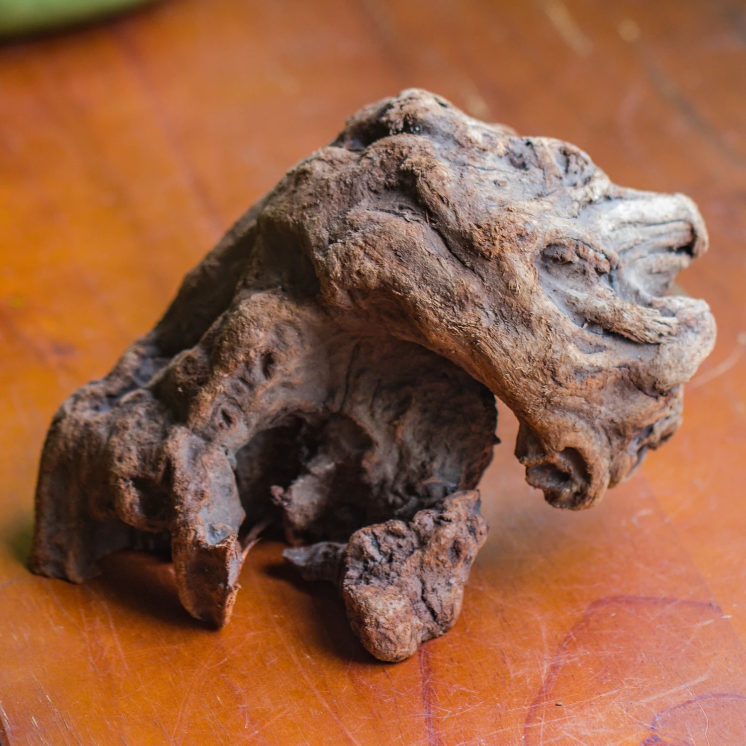 Natural Driftwood For Moss Terrarium, Miniature, Micro Landscape, Unique 10-30, Suitable For Both Live And Preserved Moss 2 Natural Driftwood For Moss Terrarium, Miniature, Micro Landscape, Unique 10-30, Suitable For Both Live And Preserved Moss - Image 2