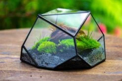 Geometric Terrarium Irregular, Handmade,Tin And Glass -Ncyp Garden Sale Shop IMG 8055 28654205 395e 4546 b5b7 59873a846dfa