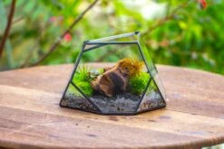 Geometric Terrarium Irregular, Handmade,Tin And Glass -Ncyp Garden Sale Shop IMG 8063 4bd214ae 923f 4351 a309 5aeb03553f5a