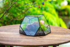 Geometric Terrarium Irregular, Handmade,Tin And Glass -Ncyp Garden Sale Shop IMG 8065 40b0815e 6eed 4c27 a913 56b447504374