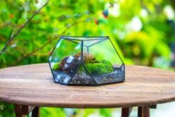 Geometric Terrarium Irregular, Handmade,Tin And Glass -Ncyp Garden Sale Shop IMG 8067 35daaf36 1b5b 4320 88d7 5f788f8fd556