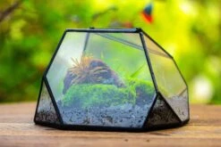 Geometric Terrarium Irregular, Handmade,Tin And Glass -Ncyp Garden Sale Shop IMG 8069 1d3cfece cc2d 4b0a a618 c6fff920a5c9