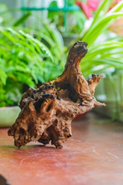 Natural Driftwood For Moss Terrarium, Miniature, Micro Landscape, Unique 10-7, Suitable For Both Live And Preserved Moss -Ncyp Garden Sale Shop IMG 8073