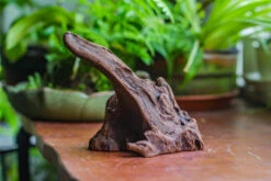 Natural Driftwood For Moss Terrarium, Miniature, Micro Landscape, Unique 10-9, Suitable For Both Live And Preserved Moss 12 Natural Driftwood For Moss Terrarium, Miniature, Micro Landscape, Unique 10-9, Suitable For Both Live And Preserved Moss -Ncyp Garden Sale Shop IMG 8085