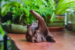 Natural Driftwood For Moss Terrarium, Miniature, Micro Landscape, Unique 10-9, Suitable For Both Live And Preserved Moss 13 Natural Driftwood For Moss Terrarium, Miniature, Micro Landscape, Unique 10-9, Suitable For Both Live And Preserved Moss -Ncyp Garden Sale Shop IMG 8086