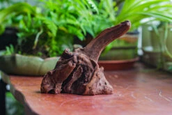 Natural Driftwood For Moss Terrarium, Miniature, Micro Landscape, Unique 10-9, Suitable For Both Live And Preserved Moss 14 Natural Driftwood For Moss Terrarium, Miniature, Micro Landscape, Unique 10-9, Suitable For Both Live And Preserved Moss -Ncyp Garden Sale Shop IMG 8087