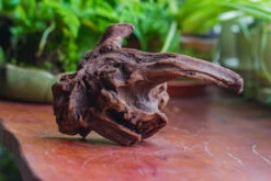 Natural Driftwood For Moss Terrarium, Miniature, Micro Landscape, Unique 10-9, Suitable For Both Live And Preserved Moss 15 Natural Driftwood For Moss Terrarium, Miniature, Micro Landscape, Unique 10-9, Suitable For Both Live And Preserved Moss -Ncyp Garden Sale Shop IMG 8088