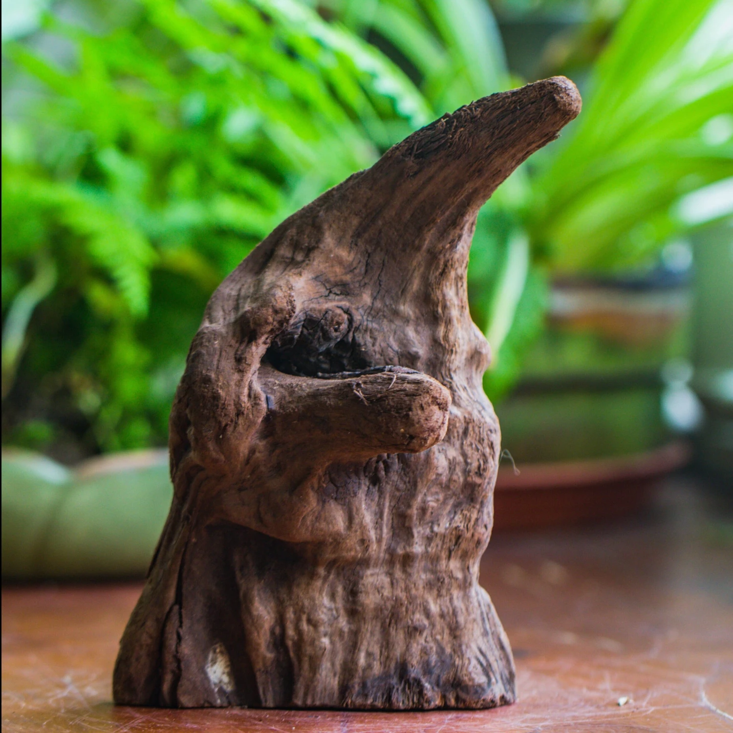 Natural Driftwood For Moss Terrarium, Miniature, Micro Landscape, Unique 10-6, Suitable For Both Live And Preserved Moss 1 Natural Driftwood For Moss Terrarium, Miniature, Micro Landscape, Unique 10-6, Suitable For Both Live And Preserved Moss