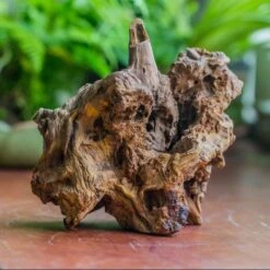 Natural Driftwood For Moss Terrarium, Miniature, Micro Landscape, Unique 10-8, Suitable For Both Live And Preserved Moss