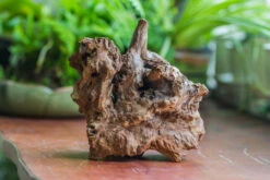 Natural Driftwood For Moss Terrarium, Miniature, Micro Landscape, Unique 10-8, Suitable For Both Live And Preserved Moss 10 Natural Driftwood For Moss Terrarium, Miniature, Micro Landscape, Unique 10-8, Suitable For Both Live And Preserved Moss -Ncyp Garden Sale Shop IMG 8109