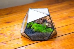 Geometric Terrarium Irregular, Handmade,Tin And Glass -Ncyp Garden Sale Shop IMG 8124 cbac7295 ba09 4753 9655 f9f0660a0e35