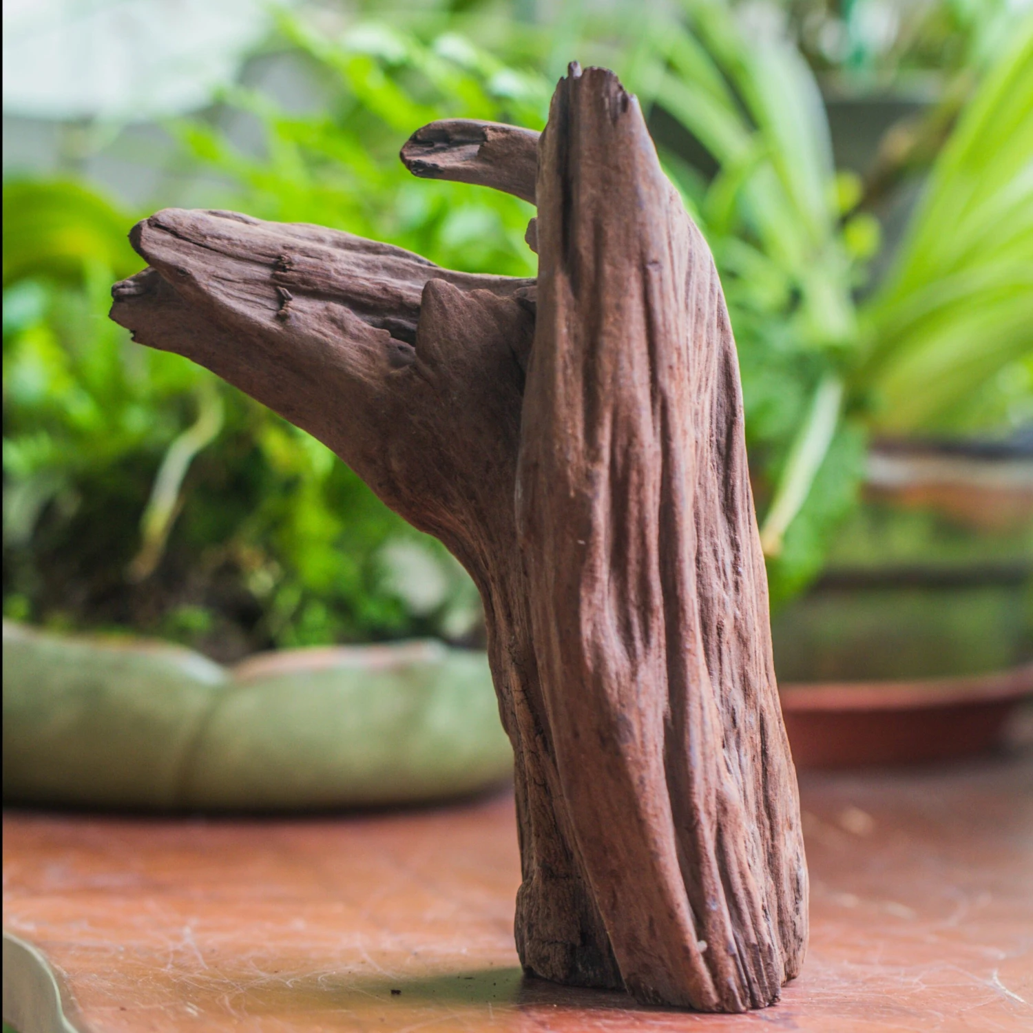 Natural Driftwood For Moss Terrarium, Miniature, Micro Landscape, Unique 10-22, Suitable For Both Live And Preserved Moss 2 Natural Driftwood For Moss Terrarium, Miniature, Micro Landscape, Unique 10-22, Suitable For Both Live And Preserved Moss - Image 2