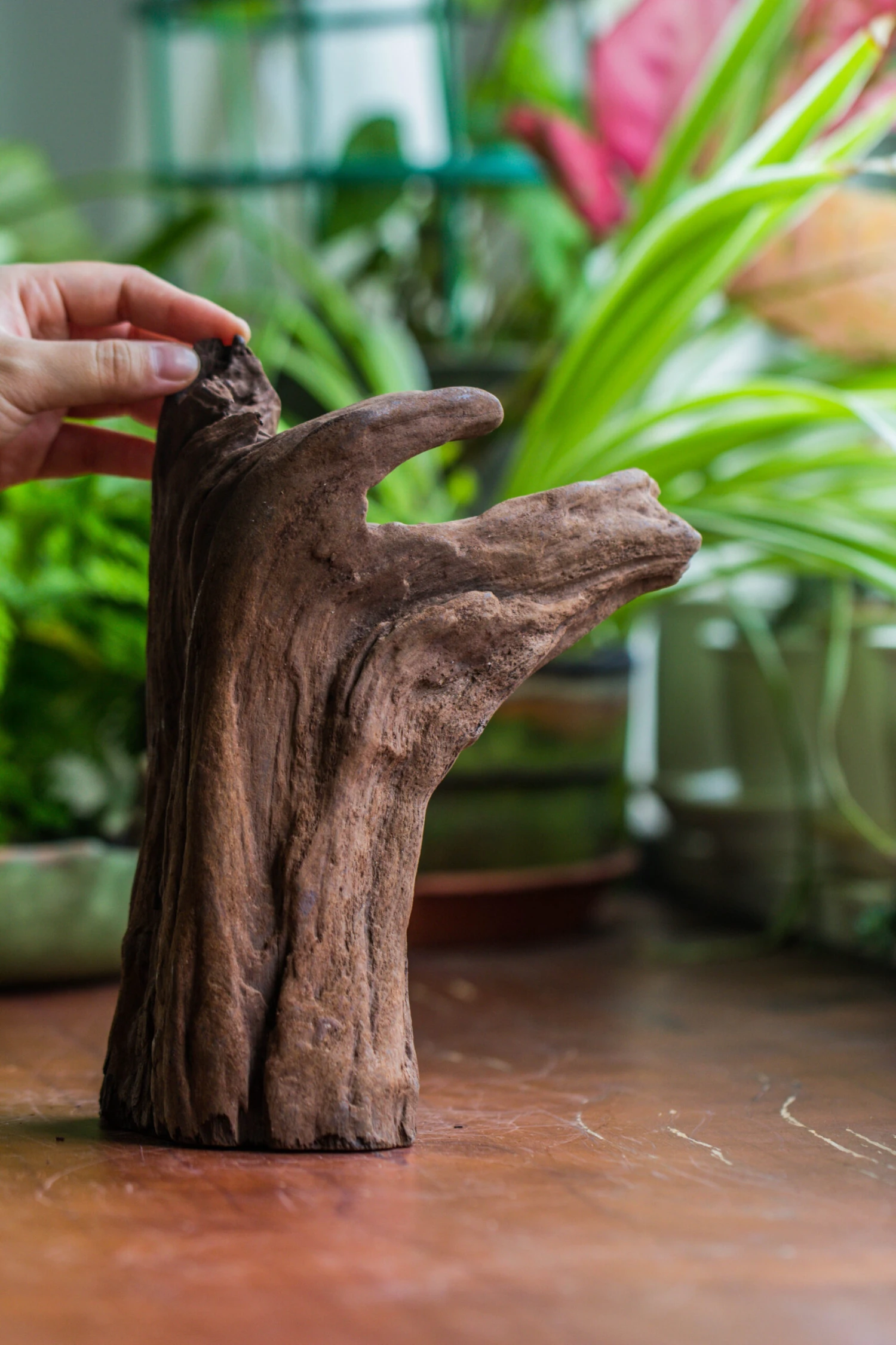 Natural Driftwood For Moss Terrarium, Miniature, Micro Landscape, Unique 10-22, Suitable For Both Live And Preserved Moss 4 Natural Driftwood For Moss Terrarium, Miniature, Micro Landscape, Unique 10-22, Suitable For Both Live And Preserved Moss - Image 4