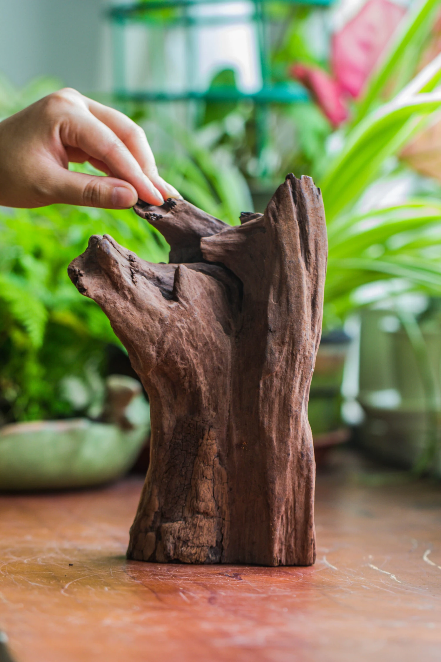 Natural Driftwood For Moss Terrarium, Miniature, Micro Landscape, Unique 10-22, Suitable For Both Live And Preserved Moss 5 Natural Driftwood For Moss Terrarium, Miniature, Micro Landscape, Unique 10-22, Suitable For Both Live And Preserved Moss - Image 5