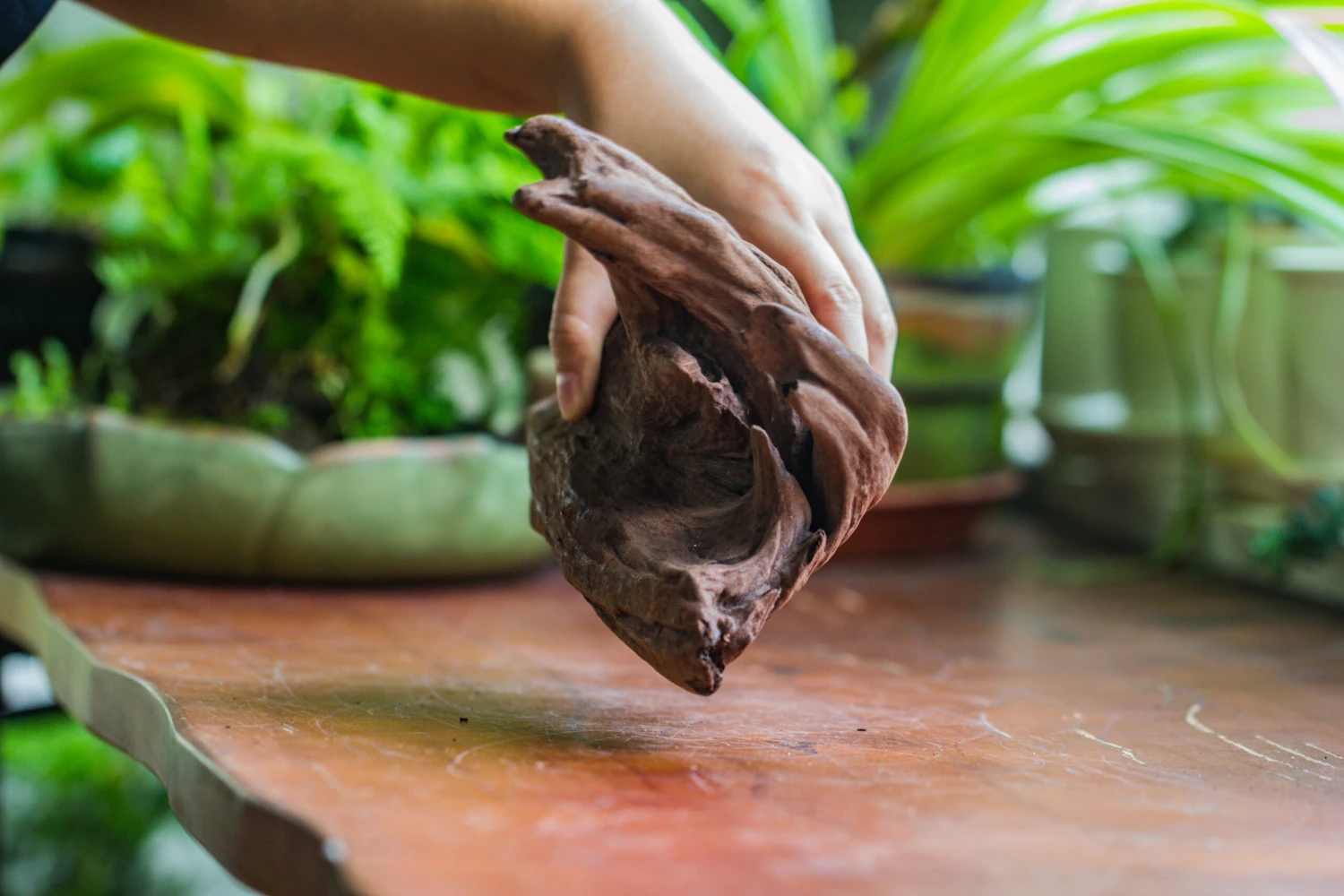 Natural Driftwood For Moss Terrarium, Miniature, Micro Landscape, Unique 10-22, Suitable For Both Live And Preserved Moss 6 Natural Driftwood For Moss Terrarium, Miniature, Micro Landscape, Unique 10-22, Suitable For Both Live And Preserved Moss - Image 6