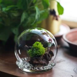 3 Units Mini Glass Globe Cloche With Decorative Beaded Base 9.5x10.8cm