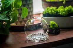 3 Units Mini Glass Globe Cloche With Decorative Beaded Base 9.5x10.8cm -Ncyp Garden Sale Shop IMG 8156