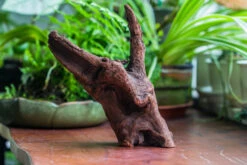 Natural Driftwood For Moss Terrarium, Miniature, Micro Landscape, Unique 10-47, Suitable For Both Live And Preserved Moss -Ncyp Garden Sale Shop IMG 8166