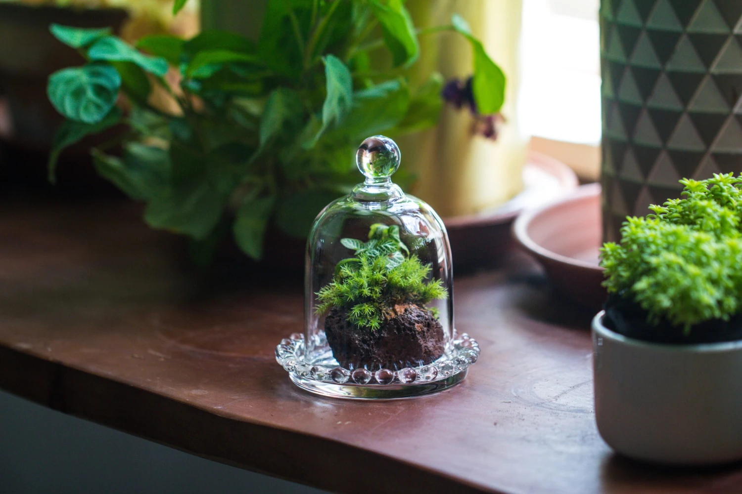 3 Units Mini Bell Shape Glass Cloche Dome With Beaded Decorative Base 9.5x14cm 9 3 Units Mini Bell Shape Glass Cloche Dome With Beaded Decorative Base 9.5x14cm - Image 9