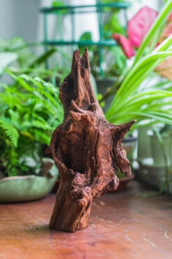 Natural Driftwood For Moss Terrarium, Miniature, Micro Landscape, Unique 10-33, Suitable For Both Live And Preserved Moss -Ncyp Garden Sale Shop IMG 8192