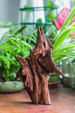 Natural Driftwood For Moss Terrarium, Miniature, Micro Landscape, Unique 10-33, Suitable For Both Live And Preserved Moss -Ncyp Garden Sale Shop IMG 8194