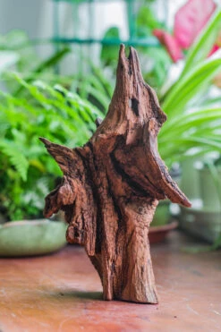 Natural Driftwood For Moss Terrarium, Miniature, Micro Landscape, Unique 10-33, Suitable For Both Live And Preserved Moss -Ncyp Garden Sale Shop IMG 8196