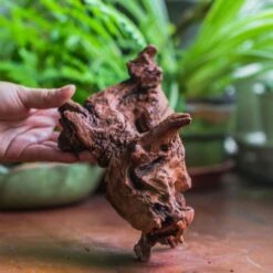 Natural Driftwood For Moss Terrarium, Miniature, Micro Landscape, Unique 10-33, Suitable For Both Live And Preserved Moss