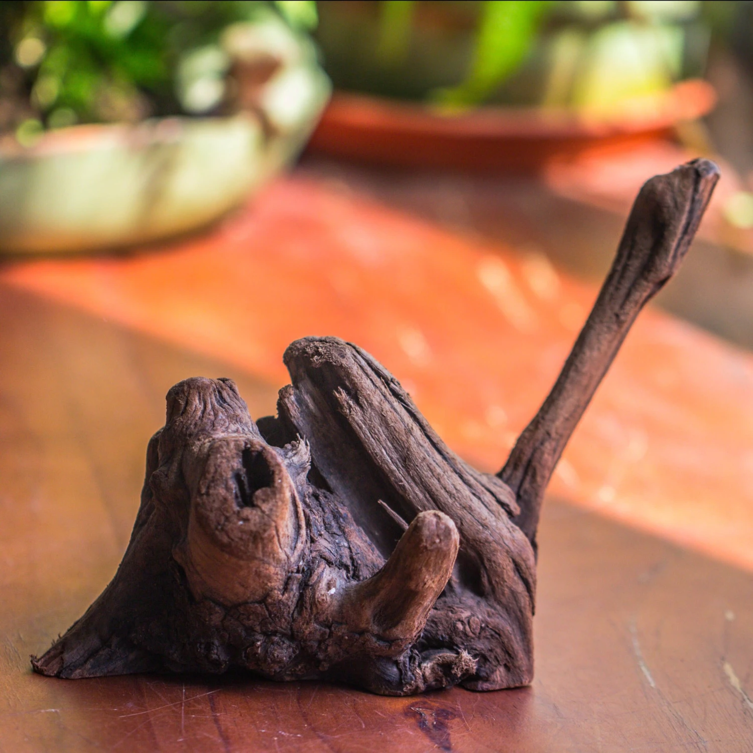 Natural Driftwood For Moss Terrarium, Miniature, Micro Landscape, Unique 10-54, Suitable For Both Live And Preserved Moss 1 Natural Driftwood For Moss Terrarium, Miniature, Micro Landscape, Unique 10-54, Suitable For Both Live And Preserved Moss