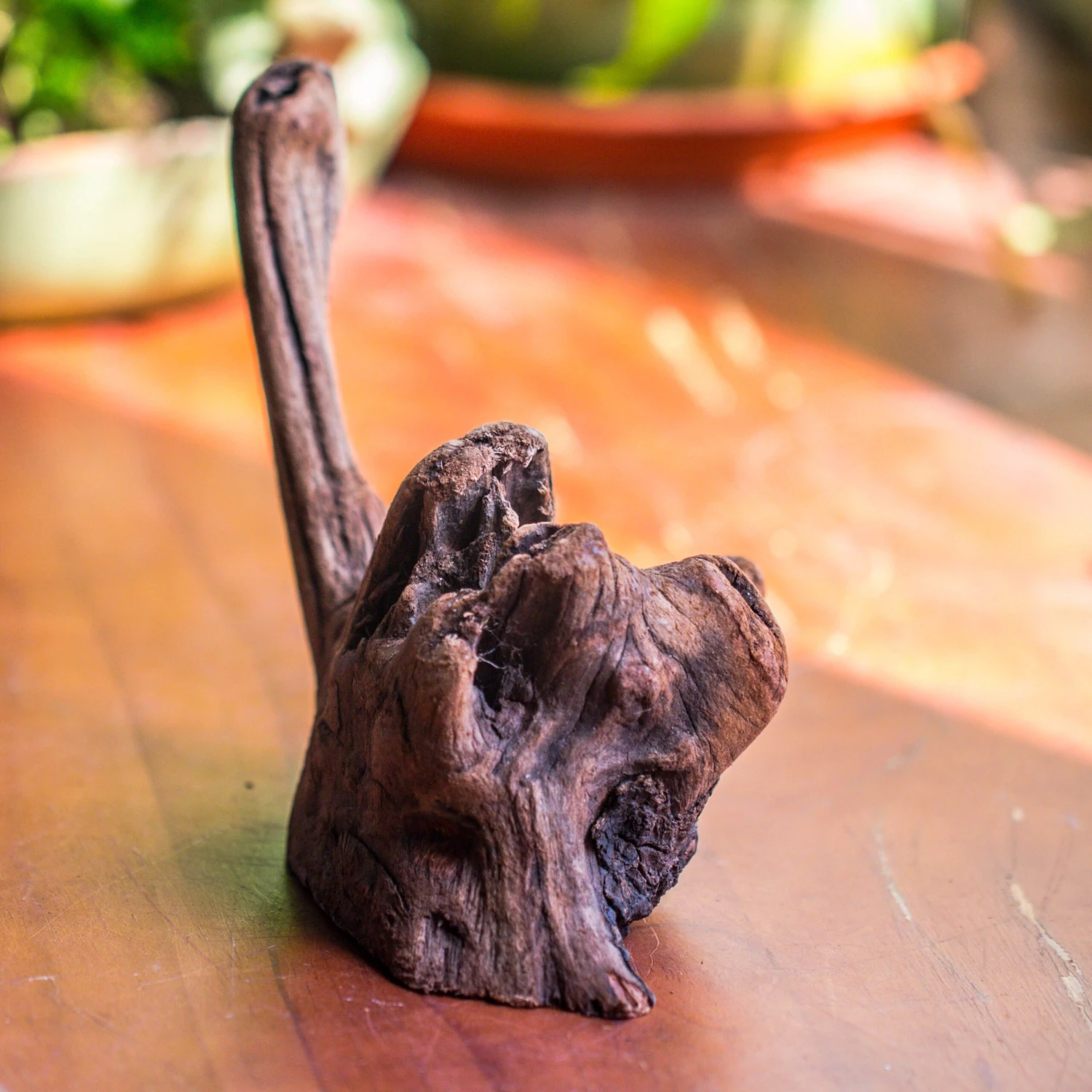 Natural Driftwood For Moss Terrarium, Miniature, Micro Landscape, Unique 10-54, Suitable For Both Live And Preserved Moss 2 Natural Driftwood For Moss Terrarium, Miniature, Micro Landscape, Unique 10-54, Suitable For Both Live And Preserved Moss - Image 2