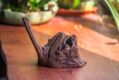 Natural Driftwood For Moss Terrarium, Miniature, Micro Landscape, Unique 10-54, Suitable For Both Live And Preserved Moss 9 Natural Driftwood For Moss Terrarium, Miniature, Micro Landscape, Unique 10-54, Suitable For Both Live And Preserved Moss -Ncyp Garden Sale Shop IMG 8240 5b0a51bf bc6c 4185 9720 d313bab0f53a