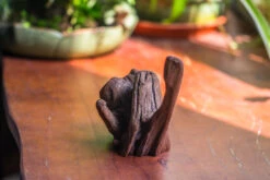 Natural Driftwood For Moss Terrarium, Miniature, Micro Landscape, Unique 10-54, Suitable For Both Live And Preserved Moss 10 Natural Driftwood For Moss Terrarium, Miniature, Micro Landscape, Unique 10-54, Suitable For Both Live And Preserved Moss -Ncyp Garden Sale Shop IMG 8241 9edff1ed f6cc 4626 a044 c630416b59e6