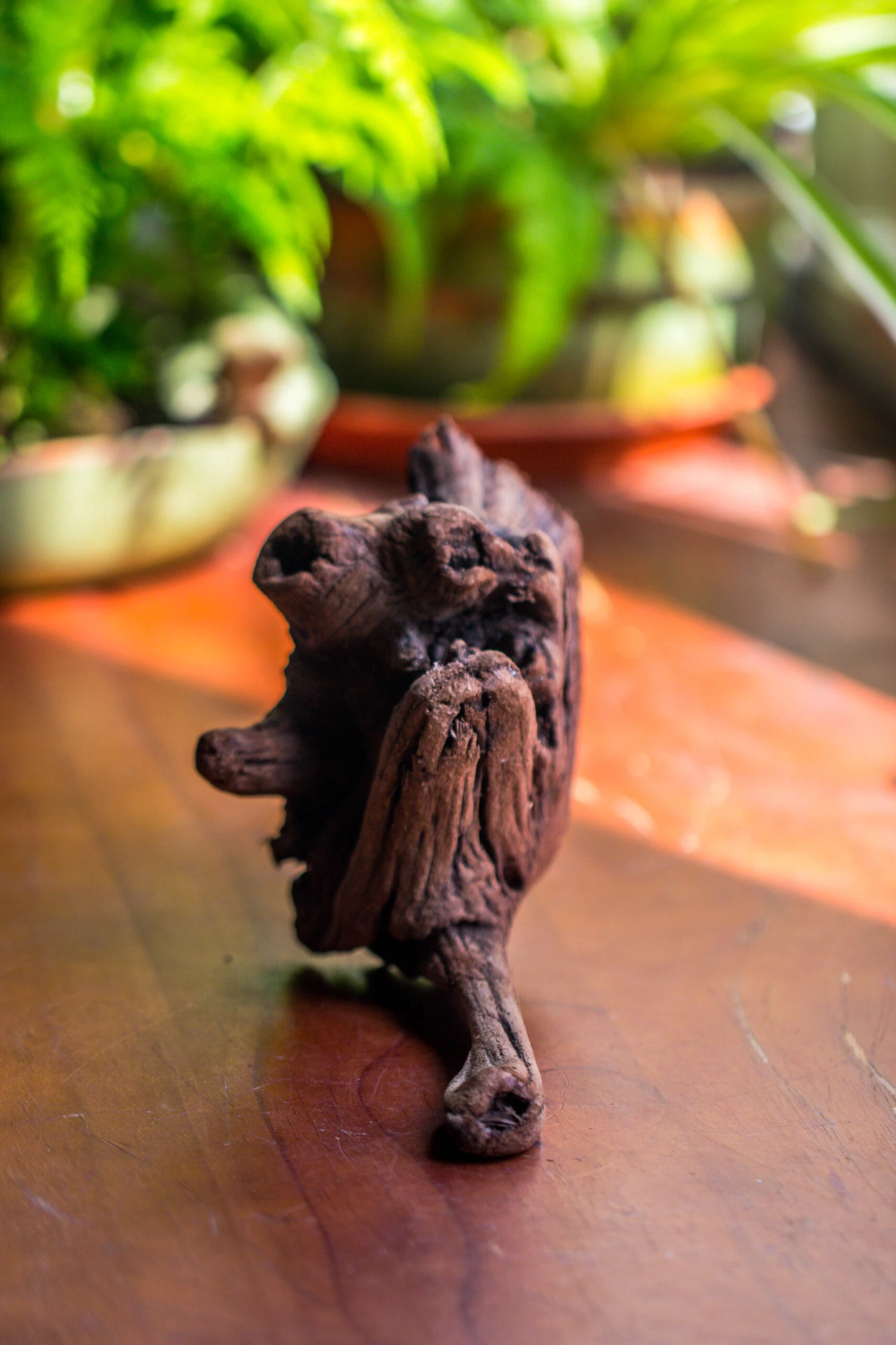 Natural Driftwood For Moss Terrarium, Miniature, Micro Landscape, Unique 10-54, Suitable For Both Live And Preserved Moss 6 Natural Driftwood For Moss Terrarium, Miniature, Micro Landscape, Unique 10-54, Suitable For Both Live And Preserved Moss - Image 6