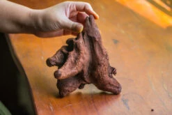 Natural Driftwood For Moss Terrarium, Miniature, Micro Landscape, Unique 10-50, Suitable For Both Live And Preserved Moss -Ncyp Garden Sale Shop IMG 8266