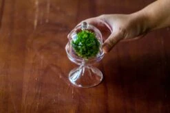 3 Units Mini Glass Serve Stand Dome Cloche Set 7x12.8cm -Ncyp Garden Sale Shop IMG 8268 1