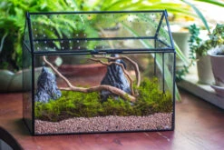 Handmade Close House-shaped Glass Terrarium Enclosure, With Acrylic Mesh Vent, For Jumping Spider, Snail Habitat, Terrarium Only -Ncyp Garden Sale Shop IMG 8268