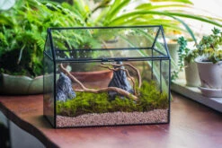 Handmade Close House-shaped Glass Terrarium Enclosure, With Acrylic Mesh Vent, For Jumping Spider, Snail Habitat, Terrarium Only -Ncyp Garden Sale Shop IMG 8269