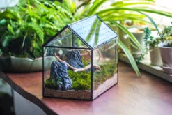 Handmade Close House-shaped Glass Terrarium Enclosure, With Acrylic Mesh Vent, For Jumping Spider, Snail Habitat, Terrarium Only -Ncyp Garden Sale Shop IMG 8270