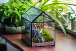 Handmade Close House-shaped Glass Terrarium Enclosure, With Acrylic Mesh Vent, For Jumping Spider, Snail Habitat, Terrarium Only -Ncyp Garden Sale Shop IMG 8271