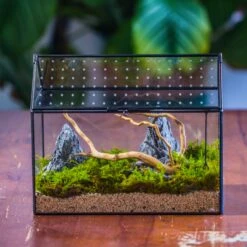 Handmade Close House-shaped Glass Terrarium Enclosure, With Acrylic Mesh Vent, For Jumping Spider, Snail Habitat, Terrarium Only -Ncyp Garden Sale Shop IMG 8287.1