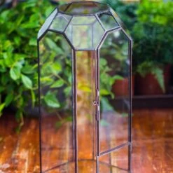 Vintage Tall Octagon Geometric Tin Glass Terrarium , 12.6" , Open, Suitable For Tall Plants, Orchid, Small Begonia Pitcher, Micro Landscape -with Warm Light Set -Ncyp Garden Sale Shop IMG 8371
