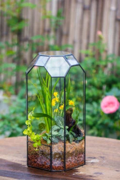 Vintage Tall Octagon Geometric Tin Glass Terrarium , 12.6" , Open, Suitable For Tall Plants, Orchid, Small Begonia Pitcher, Micro Landscape -with Warm Light Set -Ncyp Garden Sale Shop IMG 8441 5d18f4a4 737e 4ac7 993a 85e3520f5426