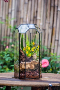Vintage Tall Octagon Geometric Tin Glass Terrarium , 12.6" , Open, Suitable For Tall Plants, Orchid, Small Begonia Pitcher, Micro Landscape -with White Light Set -Ncyp Garden Sale Shop IMG 8451 f000392d cc9a 4abd b974 415185375a3b