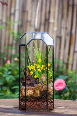 Vintage Tall Octagon Geometric Tin Glass Terrarium , 12.6" , Open, Suitable For Tall Plants, Orchid, Small Begonia Pitcher, Micro Landscape -with White Light Set -Ncyp Garden Sale Shop IMG 8452 dae80a72 47a9 4d16 aaf3 5acecf5353b0