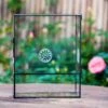 Close Geometric Glass Tin Terrarium With 3 Vents , 8x10" With Side Door, For Insects, Snail , Spider, Micro Landscape