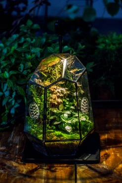Planting Kit For This Close Geometric Tin Glass Terrarium With Door, Vent -Ncyp Garden Sale Shop IMG 8521 3564795a db30 43f8 a9a0 c375e1ad1ff7