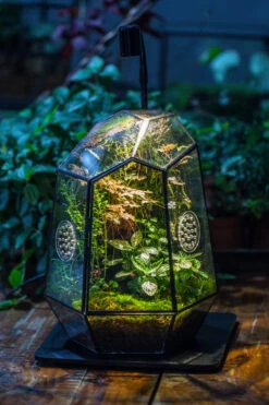 Planting Kit For This Close Geometric Tin Glass Terrarium With Door, Vent -Ncyp Garden Sale Shop IMG 8522 a8645e37 d8de 437f 9e7f 9628edc1e809