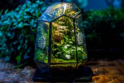 Planting Kit For This Close Geometric Tin Glass Terrarium With Door, Vent -Ncyp Garden Sale Shop IMG 8524 bc6e42e3 52a5 42f8 b082 453c8f07783b