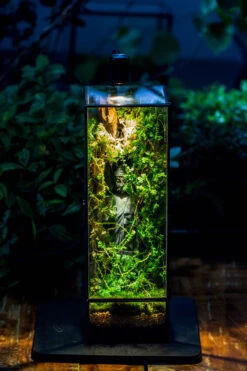 NCYP Close 11.8" Tall Geometric Glass Terrarium With Door, Tin Sealed Pillar, Planter For Moss Wall, Fern, Pitcher Plants, Tropical Plants -Ncyp Garden Sale Shop IMG 8528 e759b1da ab7c 40b3 856d 75c175b364fe