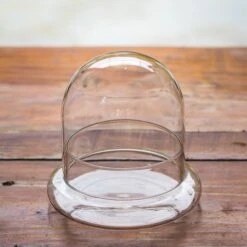 Round Glass Cloche Terrarium 12 Cm Diameter X 12cm Height With Matching Warm White Spot LED Grow Light And Base Set 23 Round Glass Cloche Terrarium 12 Cm Diameter X 12cm Height With Matching Warm White Spot LED Grow Light And Base Set -Ncyp Garden Sale Shop IMG 8539