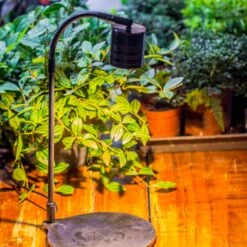 5W Warm White Black LED Grow Light Adjustable With Black Matte Stand, Or Terrarium, Moss, Shade Plants, Multi Size Available Customizable -39cm / 15.4 -Ncyp Garden Sale Shop IMG 8658 7c007db8 fe27 49f7 a10e a973b5437fa7